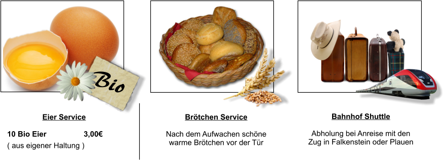 Eier Service  10 Bio Eier 		3,00 ( aus eigener Haltung ) Brtchen Service  Nach dem Aufwachen schne warme Brtchen vor der Tr Bahnhof Shuttle  Abholung bei Anreise mit den Zug in Falkenstein oder Plauen  Bio