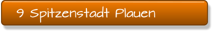 9 Spitzenstadt Plauen
