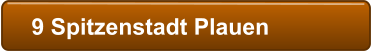 9 Spitzenstadt Plauen